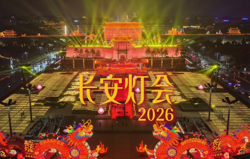西安赏花灯